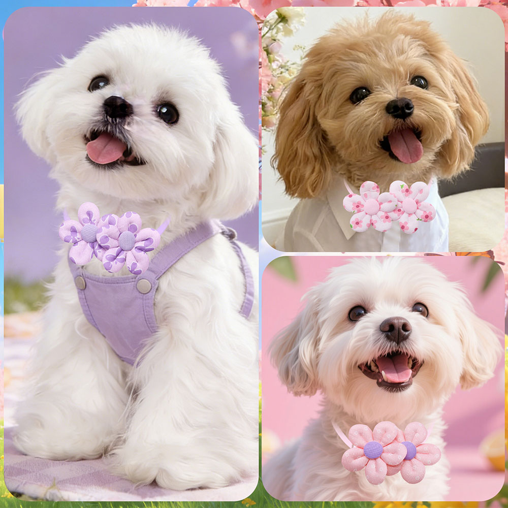 10PCS Flower Shape Sweet Dog B - Pet Supplies Co review and price