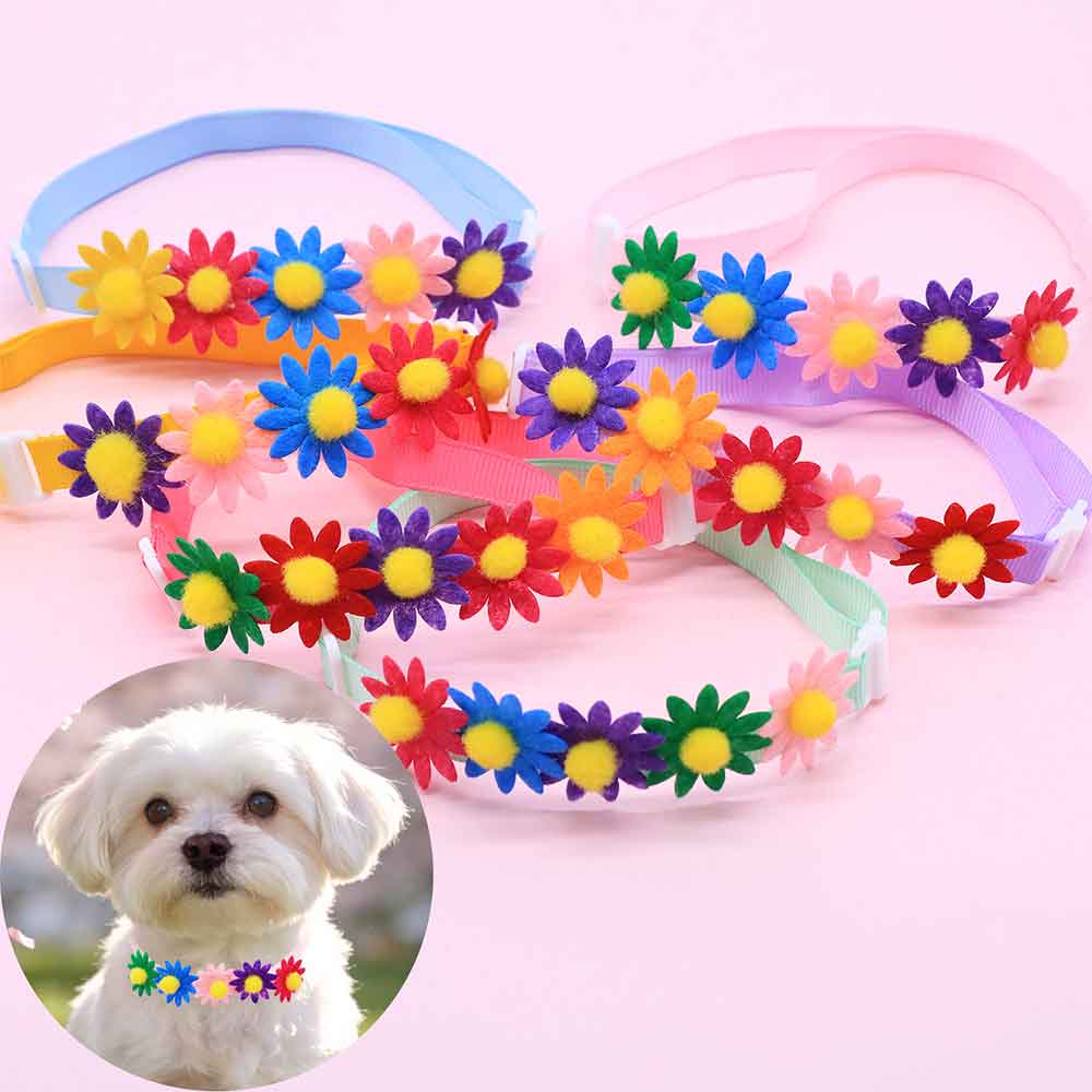 50PCS Colorful Dog Bowties Flo - Pet Supplies Co review and price