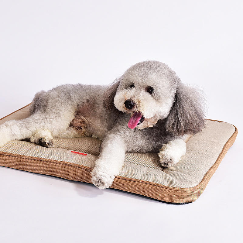 Four Seasons Pet Supplies Dog  - Pet Supplies Plus review and price