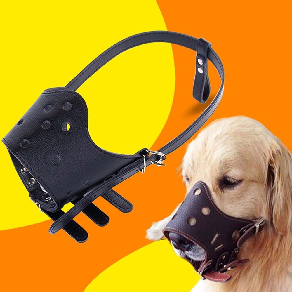 Anti-Biting Secure Anti Bark C - Pet Supplies Plus review and price