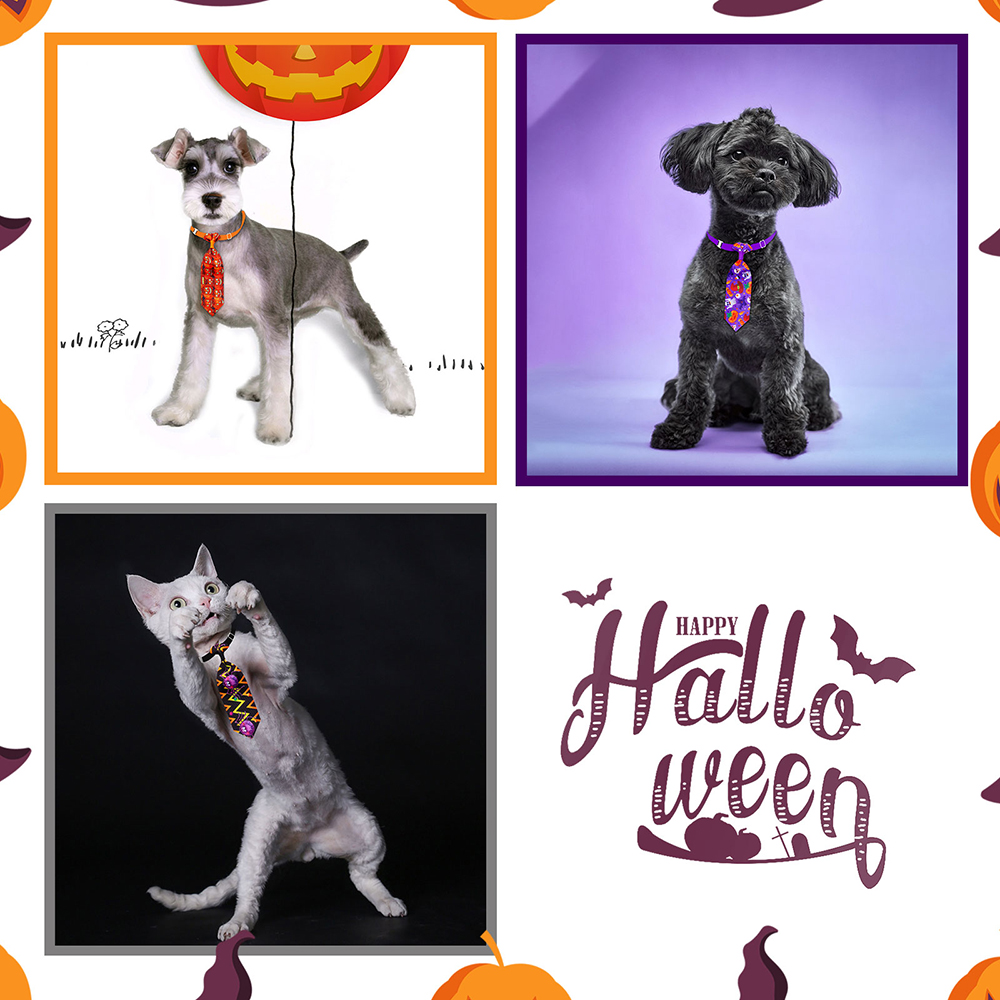 50/100pcs Halloween Dog Groomi - Pet Supplies Co review and price
