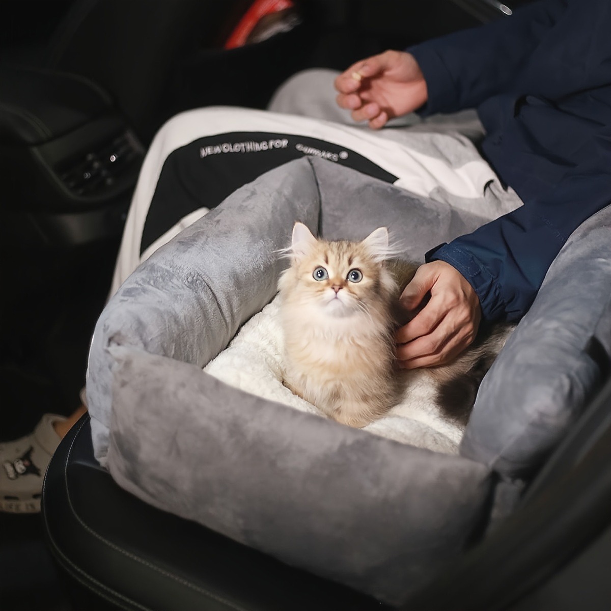 Car Bed Dog Sofa Large Dogs Sm - Pet Supplies Plus review and price