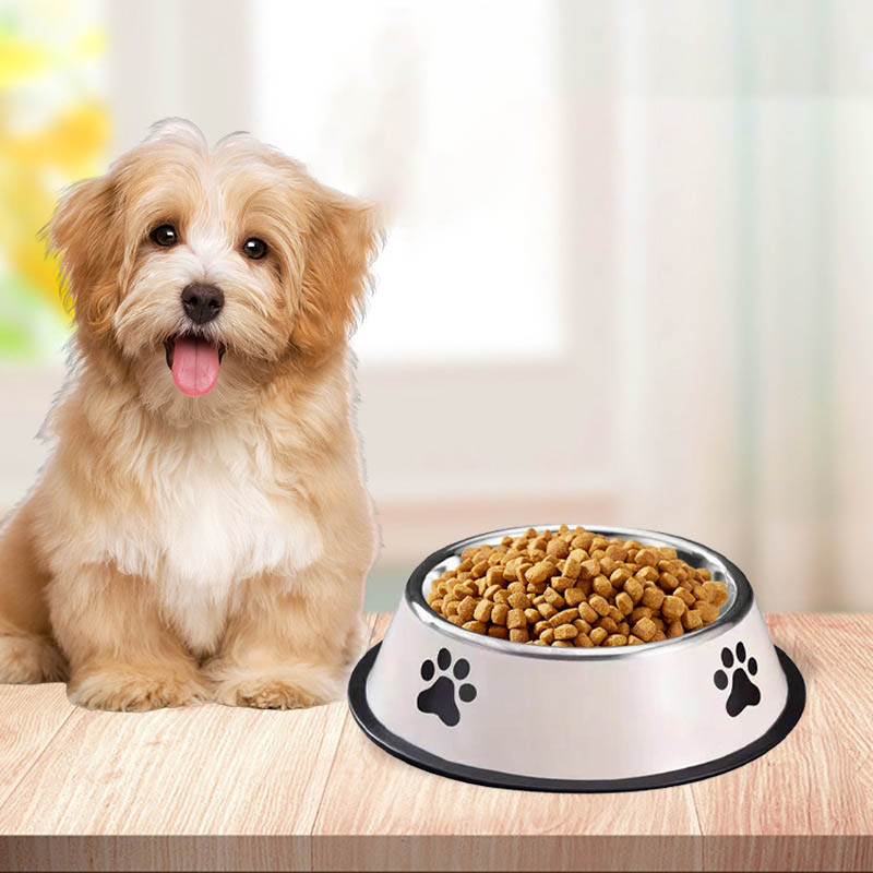 Stainless Steel Pet Bowl Cat B - Pet Supplies Plus review and price
