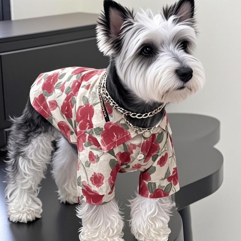 Summer Hawaiian Beach Style Do - Pet Supplies Co review and price