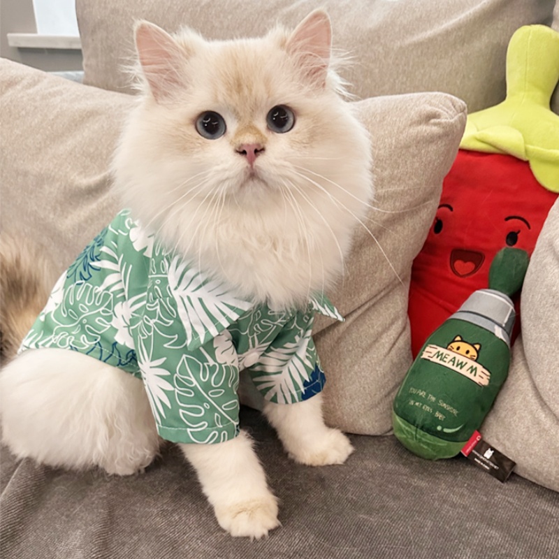 Summer Hawaiian Beach Style Do - Pet Supplies Co review and price