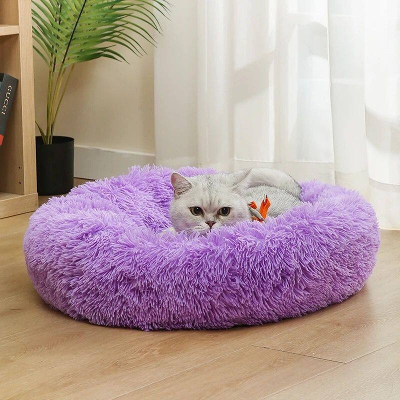 Party Cotton Dog Bed Fluffy Mo - Pet Supplies Australia review and price