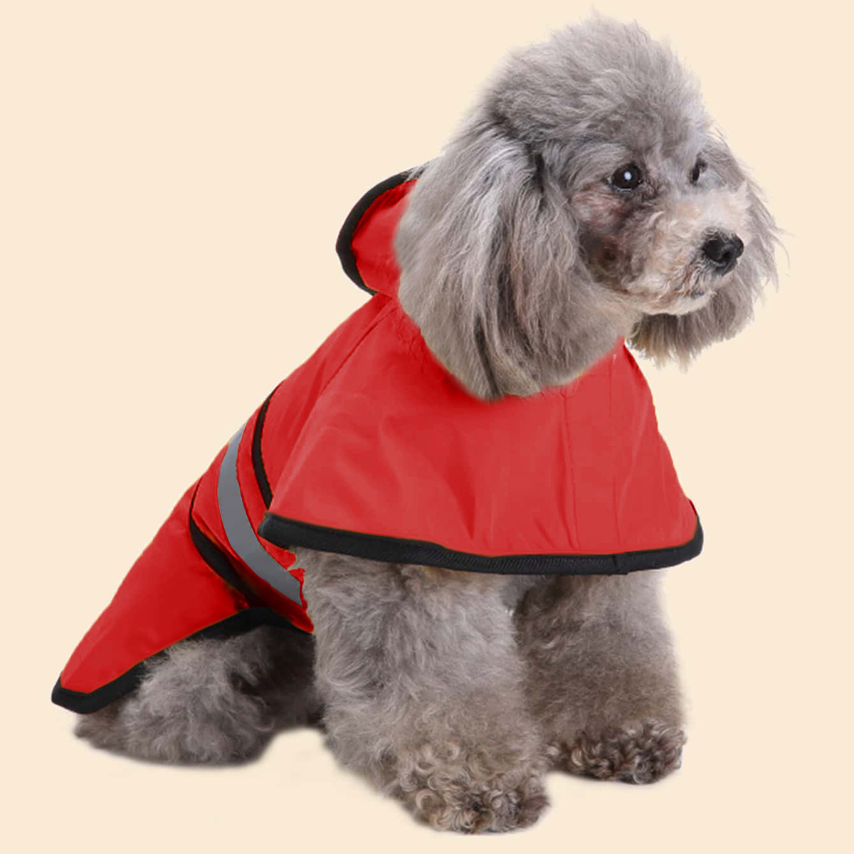 Spring Summer Waterproof Refle - Pet Supplies Co review and price