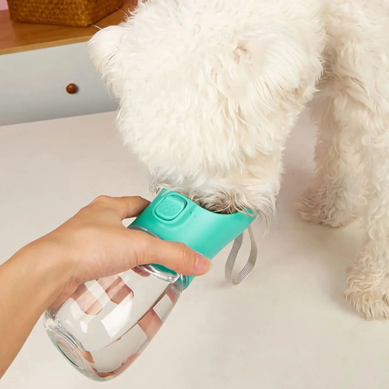 Pet Portable Big Dog Water Bot - Pet Supplies Co review and price